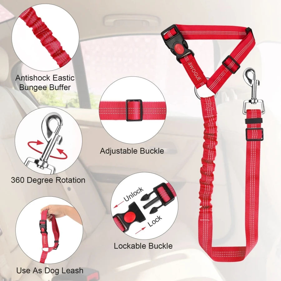 dog leash specs