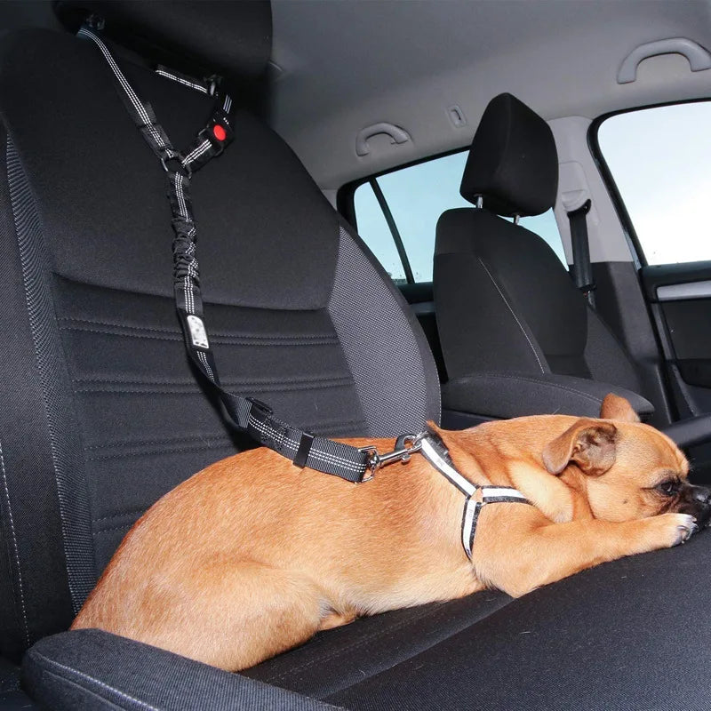 Reflective Elastic Dog Car Seat Belt – Safety & Comfort - EpicTrends 