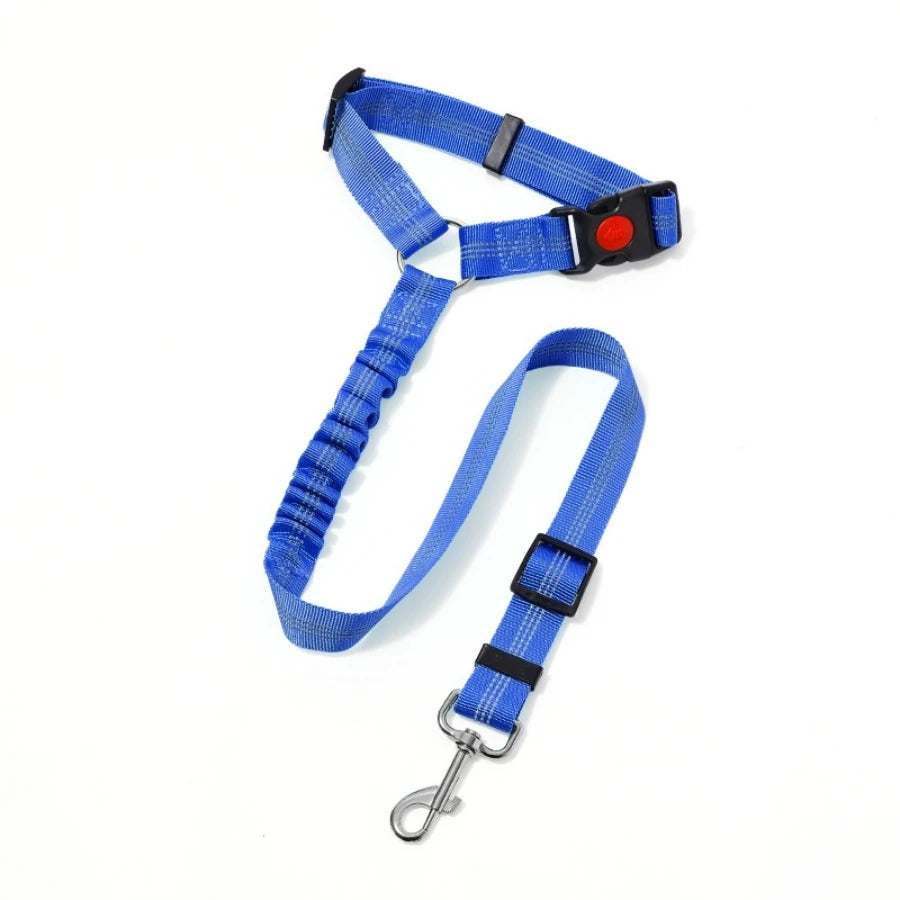 dog leash blue
