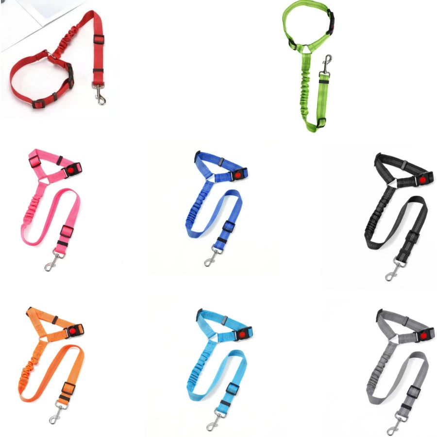Multiple color options of the reflective elastic seat belt leash