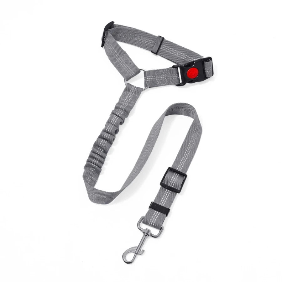dog leash grey