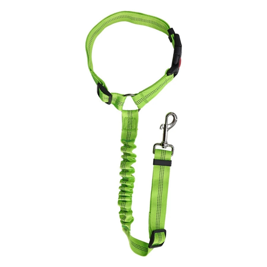 dog leash green
