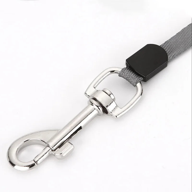 Close-up of sturdy nylon strap on retractable leash