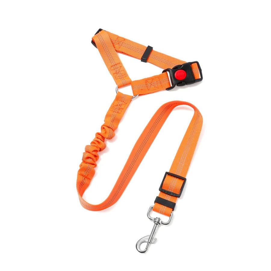 dog leash orange