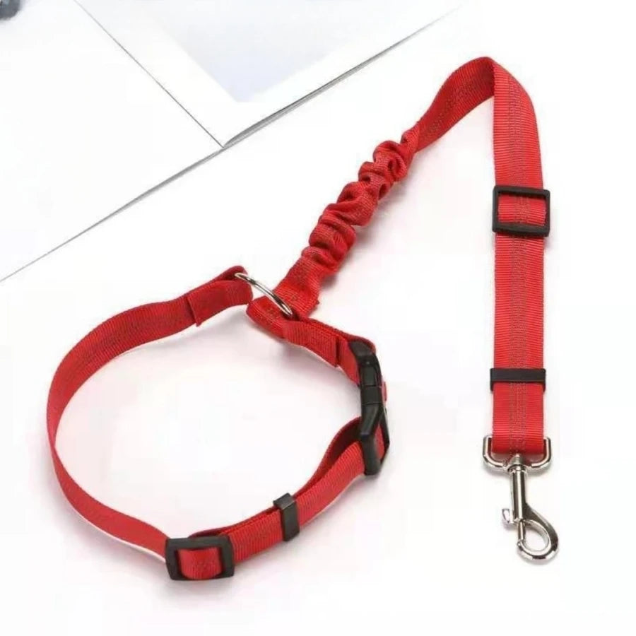dog leash red
