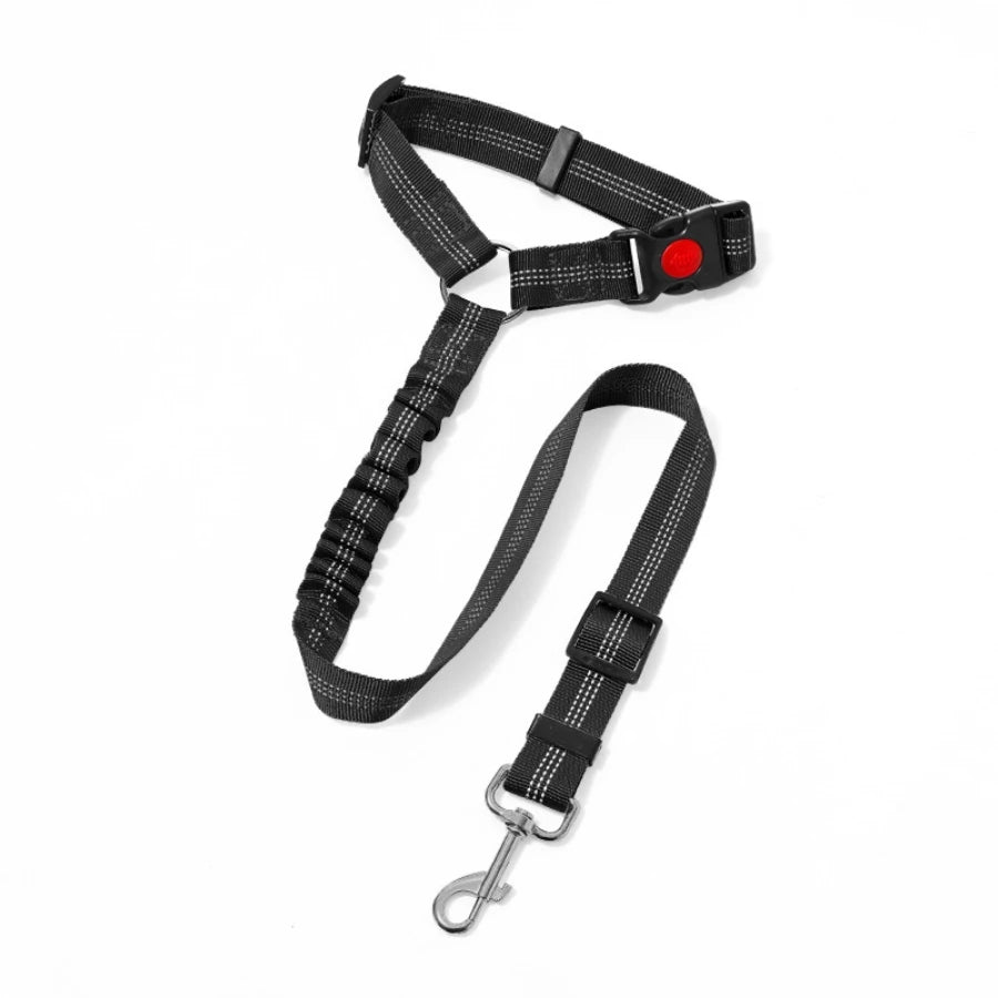 dog leash black