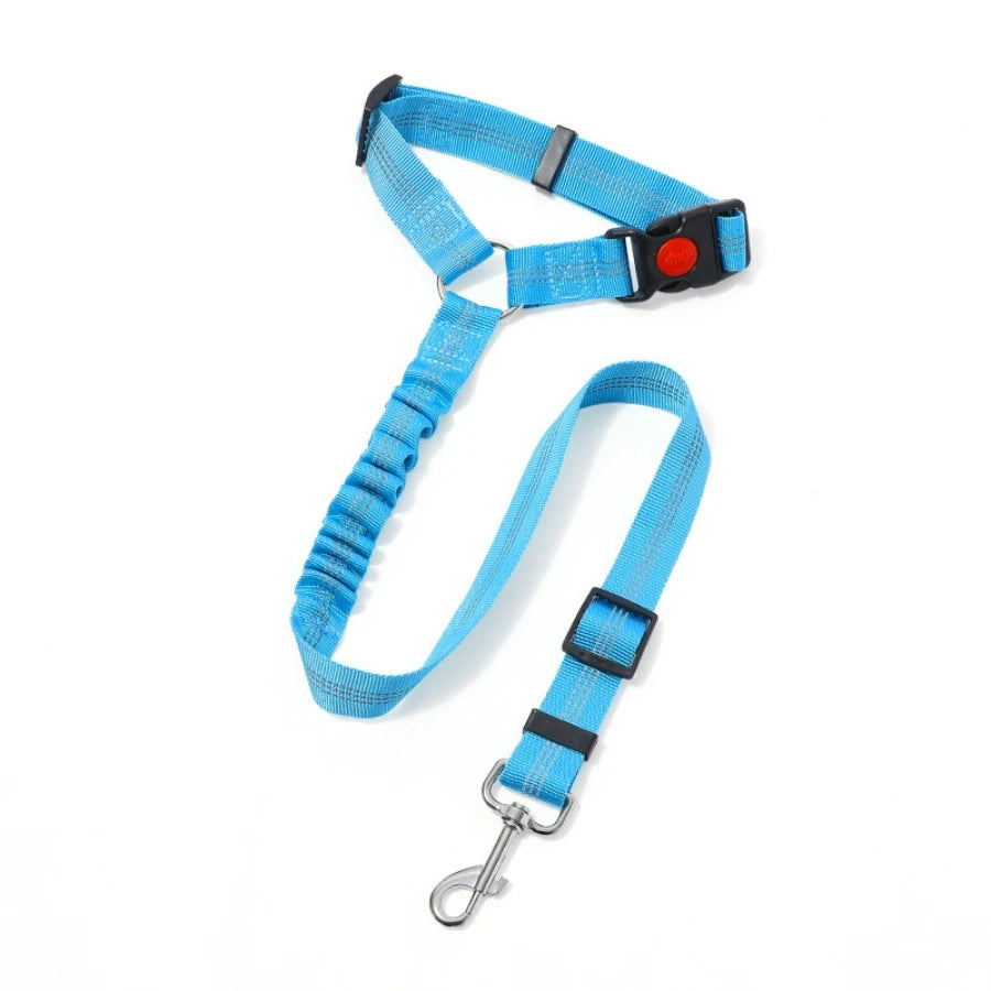 dog leash turquoise 