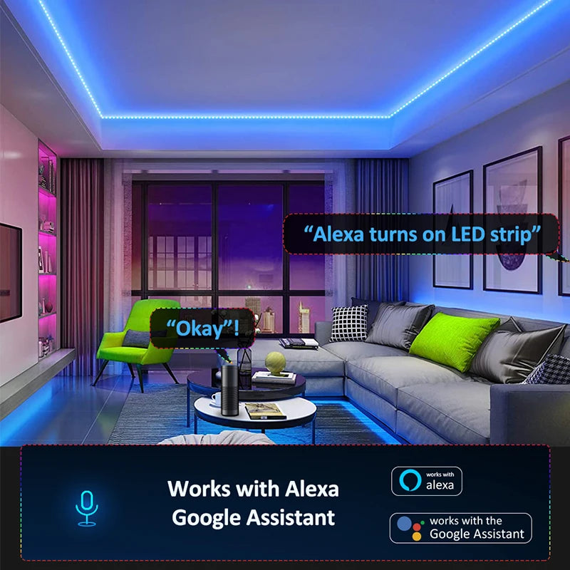 support Alexa app