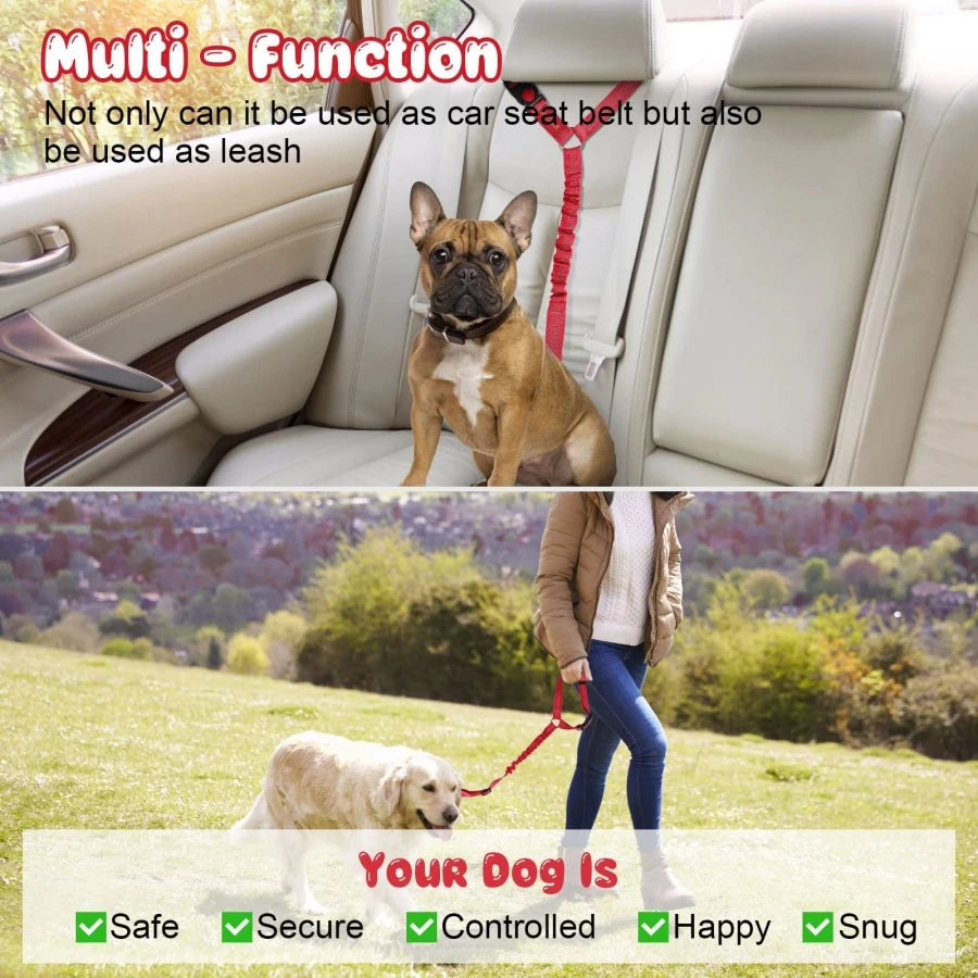 multifunction leash