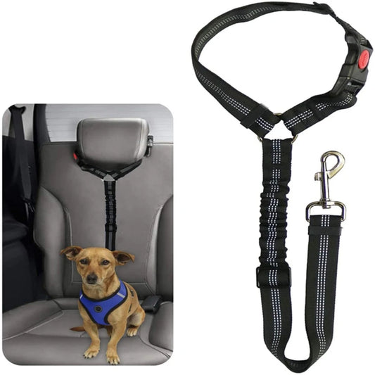 Close-up of reflective stitching on the dog seat belt